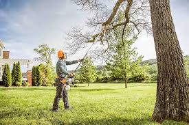 Lawn Maintenance Plans in Aliquippa, PA